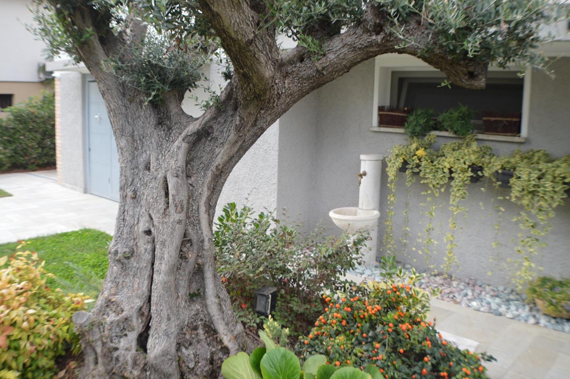 Ca' Olivo Villa Mogliano Veneto Exterior photo