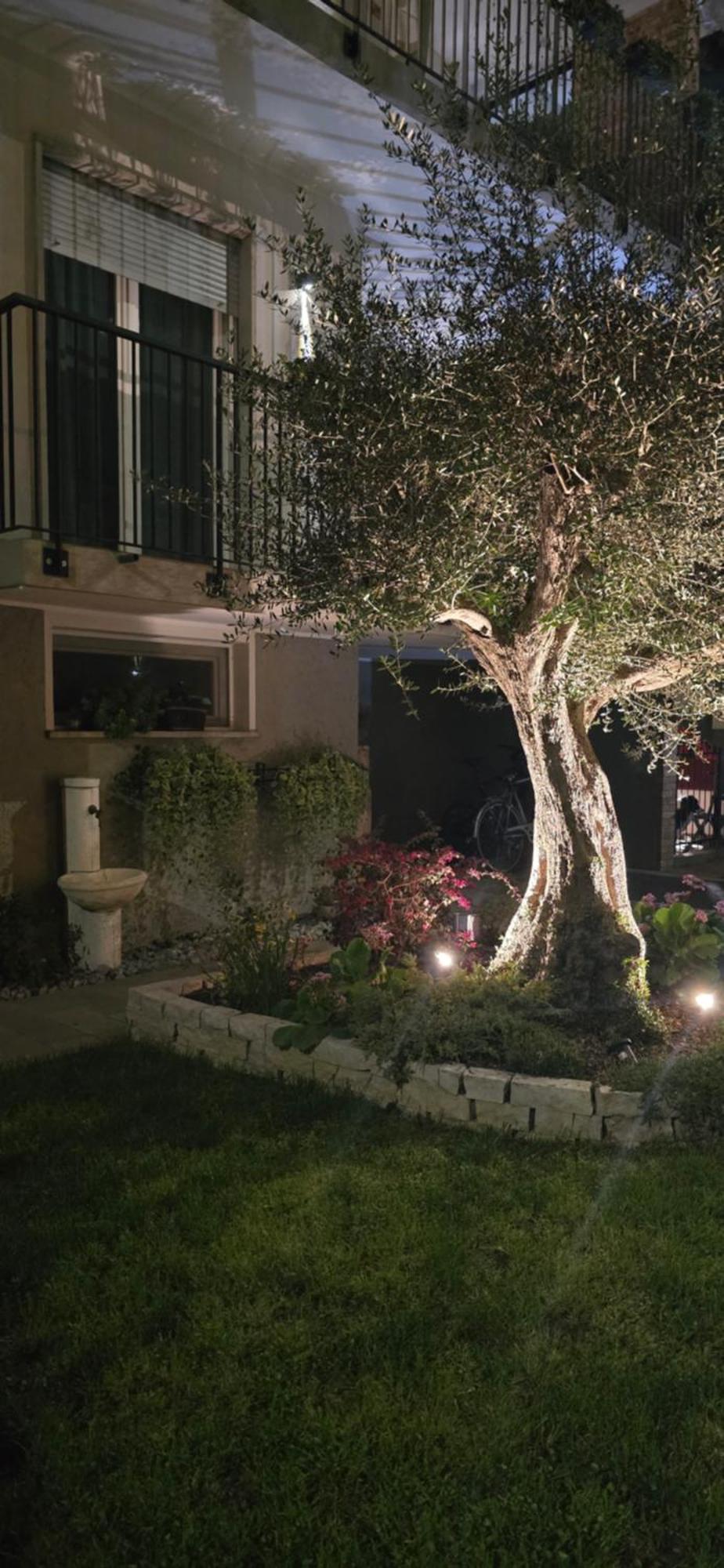 Ca' Olivo Villa Mogliano Veneto Exterior photo